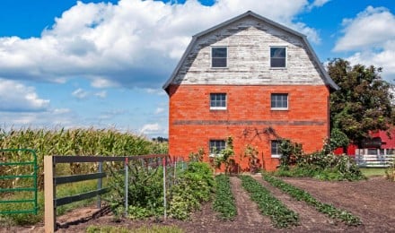 Full Day Amish Country Guided Tour